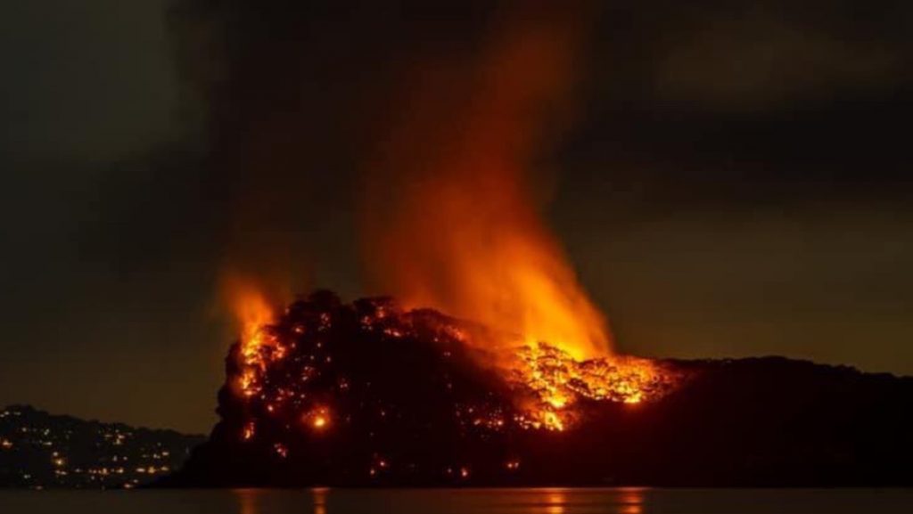 Lion Island fire 2029